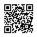 [SV4a]S カイデン（シャイニートレジャーex 250/190 雷 ）[SV4a250] QRコード