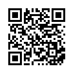 [SV4a]S ネイティ（シャイニートレジャーex 256/190 超 ）[SV4a256] QRコード