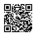 [SV4a]S デカヌチャン（シャイニートレジャーex 273/190 超 ）[SV4a273] QRコード