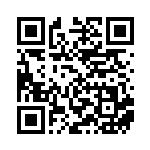 [SV4a]S オラチフ（シャイニートレジャーex 295/190 悪 ）[SV4a295] QRコード