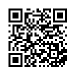 [SV4a]S タギングル（シャイニートレジャーex 298/190 悪 ）[SV4a298] QRコード