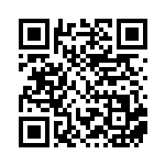 [SV4a]S ブロロン（シャイニートレジャーex 300/190 鋼 ）[SV4a300] QRコード