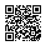 [SV4a]S ブロロローム（シャイニートレジャーex 301/190 鋼 ）[SV4a301] QRコード