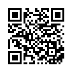 [SV4a]S ホシガリス（シャイニートレジャーex 313/190 無 ）[SV4a313] QRコード