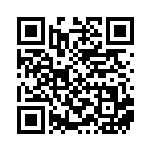 [SV4a]S ワッカネズミ（シャイニートレジャーex 317/190 無 ）[SV4a317] QRコード