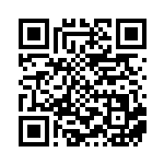 [SV4a]SSR テツノワダチex（シャイニートレジャーex 333/190 鋼 ）[SV4a333] QRコード