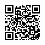 [SV4a]UR イーユイex（シャイニートレジャーex 356/190 炎 ）[SV4a356] QRコード