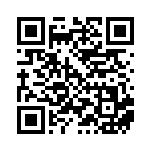 [SV4K]U ブーストエナジー 古代（古代の咆哮 061/066 トレーナーズ グッズ ）[SV4K061] QRコード