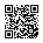 [SV4M]RR ストリンダーex（未来の一閃 040/066 ）[SV4M040] QRコード