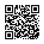 [SV4M]RR ギルガルドex（未来の一閃 045/066 ）[SV4M045] QRコード