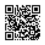 [SV4M]AR ハガネール（未来の一閃 074/066 ）[SV4M074] QRコード