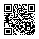 [SV4M]AR エイパム（未来の一閃 075/066 ）[SV4M075] QRコード