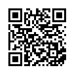 [sv5k]SAR ビワ（ワイルドフォース 096/071 トレーナーズ サポート Hレギュ ）[sv5k096] QRコード