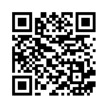 [SV7]R ギギギアル（ステラミラクル 069/102 Hレギュ）[SV7069] QRコード