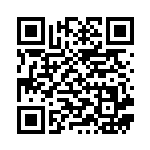 [SV8]C ゼブライカ（超電ブレイカー 039/106 Hレギュ）[SV8039] QRコード