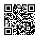 [SV8a]RR シャワーズex（テラスタルフェス 031/187 Hレギュ）[SV8a031] QRコード