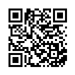 [SV8a]テツノツツミ（テラスタルフェス 047/187 Gレギュ）[SV8a047] QRコード