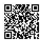 [SV8a]サマヨール（マスターボール柄）（テラスタルフェス 065/187 Hレギュ）[SV8a065] QRコード