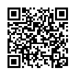 [SV8a]サケブシッポ（マスターボール柄）（テラスタルフェス 071/187 Gレギュ）[SV8a071] QRコード