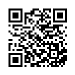 [SV8a]RR テツノブジンex（テラスタルフェス 074/187 Gレギュ）[SV8a074] QRコード