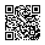 [SV8a]ルチャブル（テラスタルフェス 084/187 Gレギュ）[SV8a084] QRコード