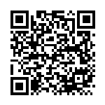 [SV8a]ディンルー（マスターボール柄）（テラスタルフェス 089/187 Gレギュ）[SV8a089] QRコード