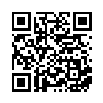 [SV8a]RR ブラッキーex（テラスタルフェス 093/187 Hレギュ）[SV8a093] QRコード