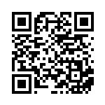 [SV8a]ヒトツキ（テラスタルフェス 109/187 Gレギュ）[SV8a109] QRコード