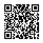 [SV8a]ヒトツキ（マスターボール柄）（テラスタルフェス 109/187 Gレギュ）[SV8a109] QRコード