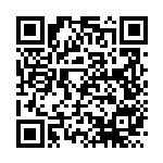 [SV8a]ニダンギル（モンスターボール柄）（テラスタルフェス 110/187 Gレギュ）[SV8a110] QRコード