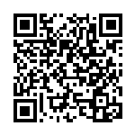 [SV8a]ブロロン（マスターボール柄）（テラスタルフェス 114/187 Hレギュ）[SV8a114] QRコード