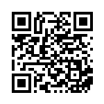 [SV8a]RR サーフゴーex（テラスタルフェス 117/187 Gレギュ）[SV8a117] QRコード