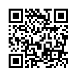 [SV8a]RR タケルライコex（テラスタルフェス 124/187 Hレギュ）[SV8a124] QRコード