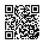 [SV8a]テラスタルオーブ（テラスタルフェス 145/187 トレーナーズ Hレギュ）[SV8a145] QRコード