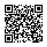 [SV8a]ゴージャスマント（モンスターボール柄）（テラスタルフェス 155/187 トレーナーズ Gレギュ）[SV8a155] QRコード