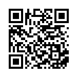 [SV8a]ACE マキシマムベルト（テラスタルフェス 159/187 トレーナーズ Hレギュ）[SV8a159] QRコード