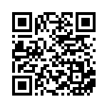 [SV8a]SR ネリネ（テラスタルフェス 194/187 トレーナーズ Hレギュ）[SV8a194] QRコード