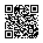 [SV8a]SAR テツノブジンex（テラスタルフェス 213/187 Gレギュ）[SV8a213] QRコード