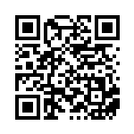 [SV8a]SAR スナノケガワex（テラスタルフェス 215/187 Gレギュ）[SV8a215] QRコード