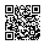 [SV8a]SAR サーフゴーex（テラスタルフェス 220/187 Gレギュ）[SV8a220] QRコード