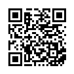 [SV8a]SAR テラパゴスex（テラスタルフェス 226/187 Hレギュ）[SV8a226] QRコード