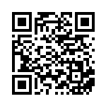 [SV8a]SAR ネリネ（テラスタルフェス 232/187 トレーナーズ Hレギュ）[SV8a232] QRコード