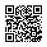 [SV9]R ブーバーン（バトルパートナーズ 014/100 Iレギュ）[SV9014] QRコード