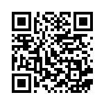 [SV9]C Nのダルマッカ（バトルパートナーズ 015/100 Iレギュ）[SV9015] QRコード