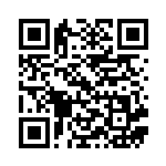 [SV9]U ナンジャモのマルマイン（バトルパートナーズ 027/100 Iレギュ）[SV9027] QRコード