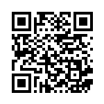 [SV9]C ナンジャモのズピカ（バトルパートナーズ 029/100 Iレギュ）[SV9029] QRコード