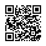 [SV9]RR リーリエのピッピex（バトルパートナーズ 033/100 Iレギュ）[SV9033] QRコード