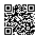 [SV9]C リーリエのアブリー（バトルパートナーズ 041/100 Iレギュ）[SV9041] QRコード