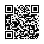 [SV9]C Nのゾロア（バトルパートナーズ 060/100 Iレギュ）[SV9060] QRコード