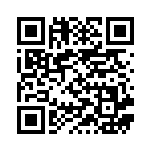 [SV9]U ホップのバッグ（バトルパートナーズ 091/100 トレーナーズ Iレギュ）[SV9091] QRコード